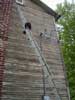 Pippin loves to climb. Even a round metal rung ladder!